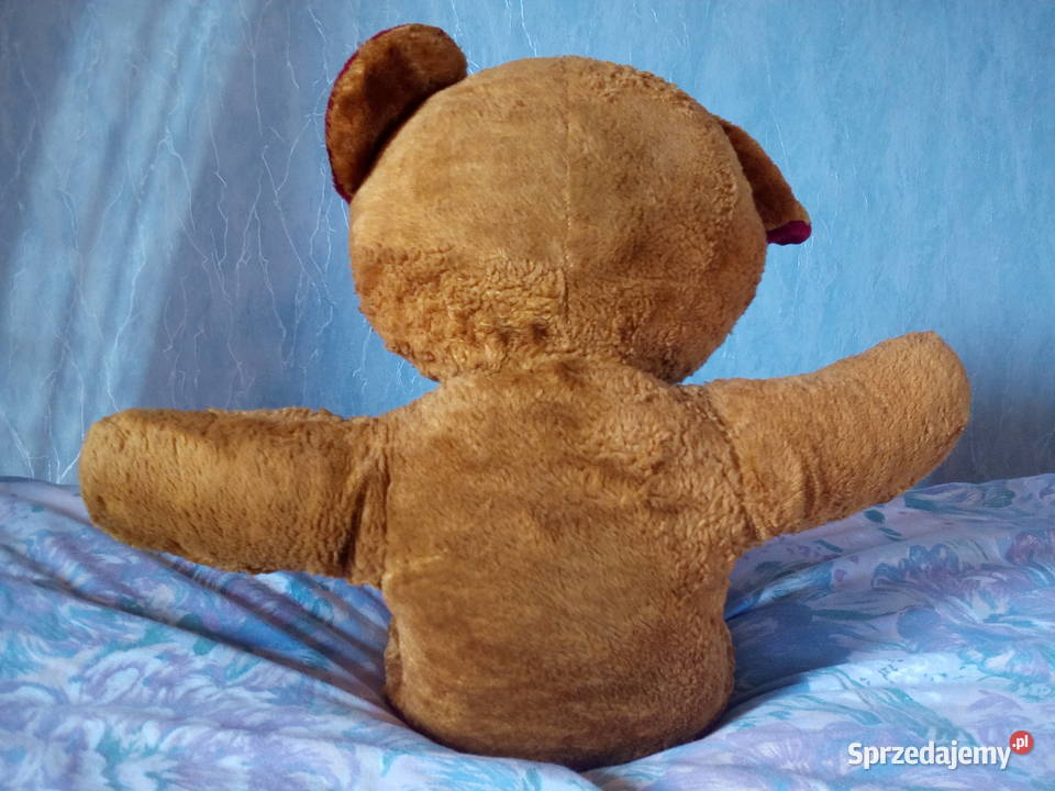 Miś leżący długość ok 60 Maskotki Mielno sprzedam