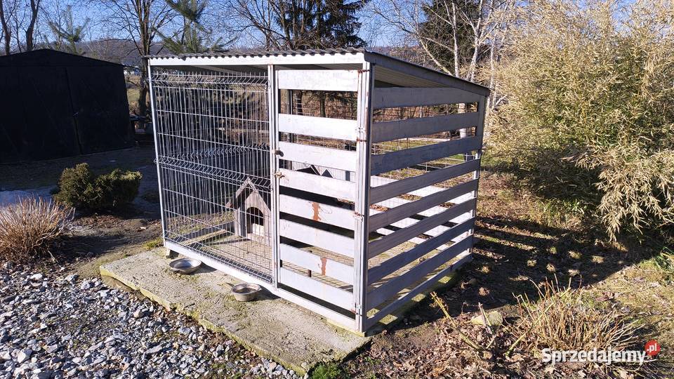 Kojec psa małopolskie