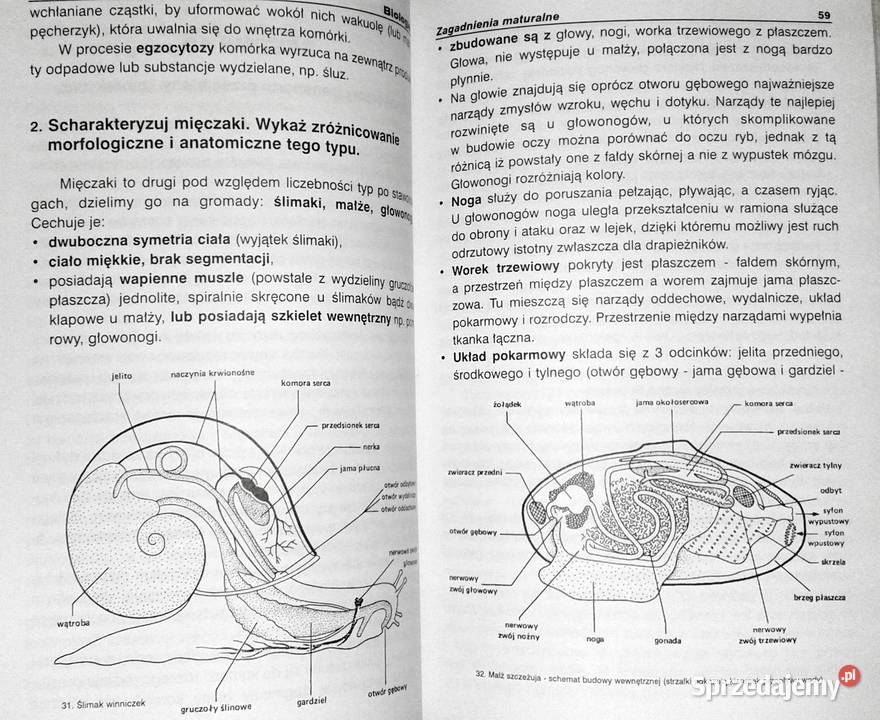 Matura z biologii Agnieszka Cerańska lubelskie Chełm