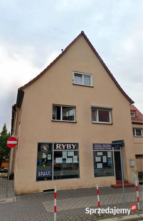 LOKAL 75m OPOLE 1MAJA DUŻE WITRYNY parter