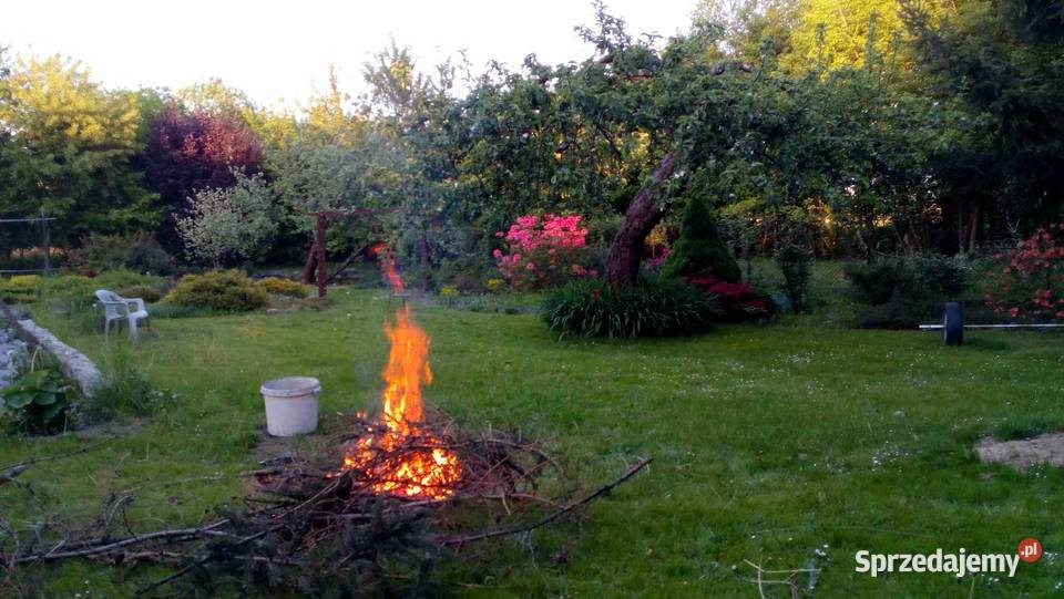 Siedlisko Rodowe Lechja gospodarstwo Lipowa
