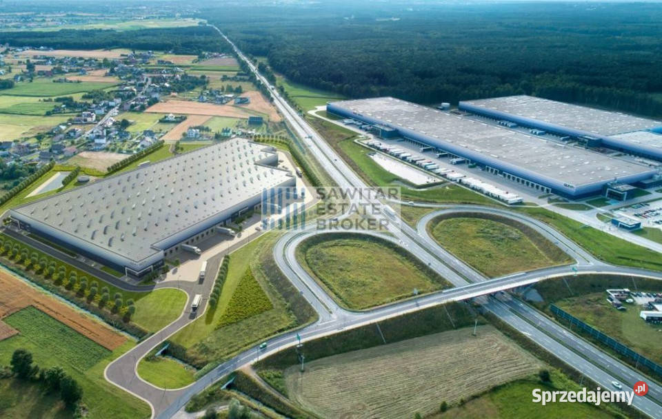Magazyn klasy A 3240 m2 Lędziny Bez Prowizji Wynajem śląskie