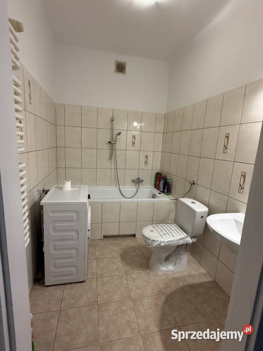 Do wynajęcia mieszkanie w ścisłym centrum Kraków