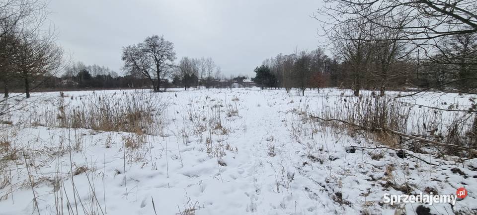 Syndyk sprzeda udział 13 w nieruchomości Wołomin
