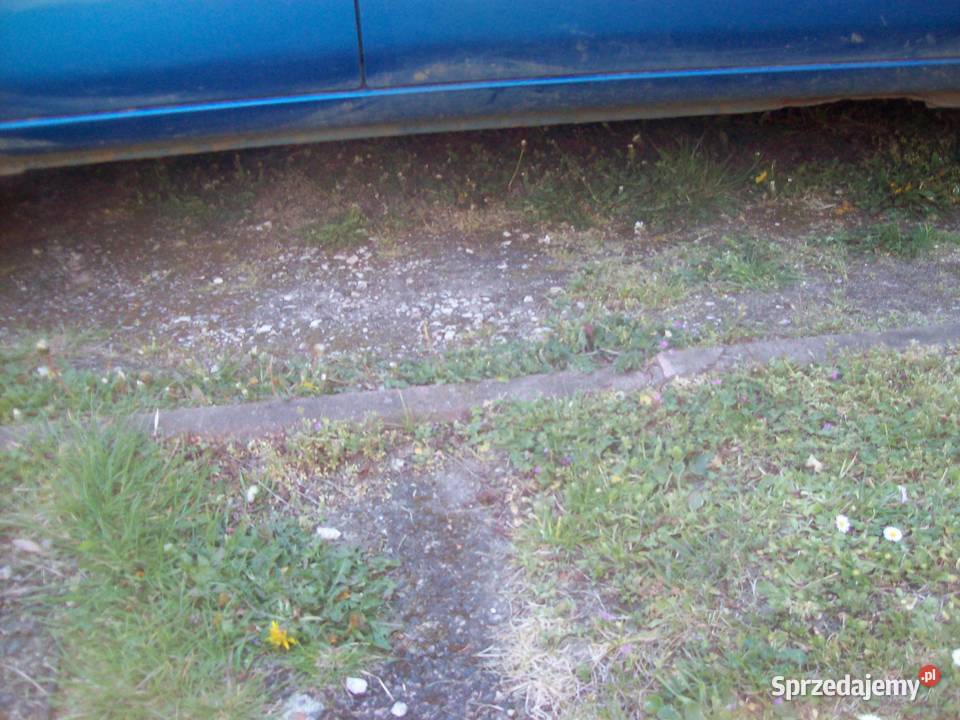 Suzuki dolnośląskie Kłodzko