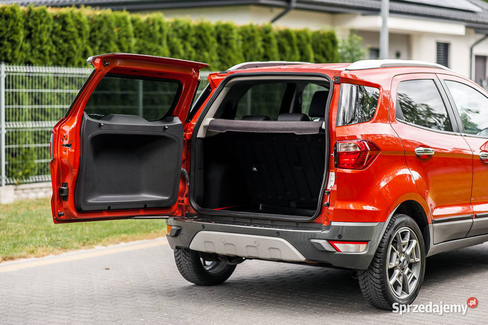 Ford Ecosport 10 benzyna nieuszkodzony