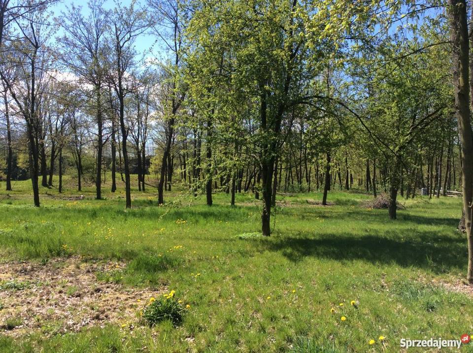 Działka jeziorem dolnośląskie Złotoryja