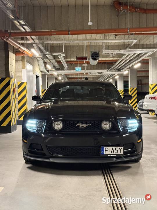 Ford Mustang GT Poznań