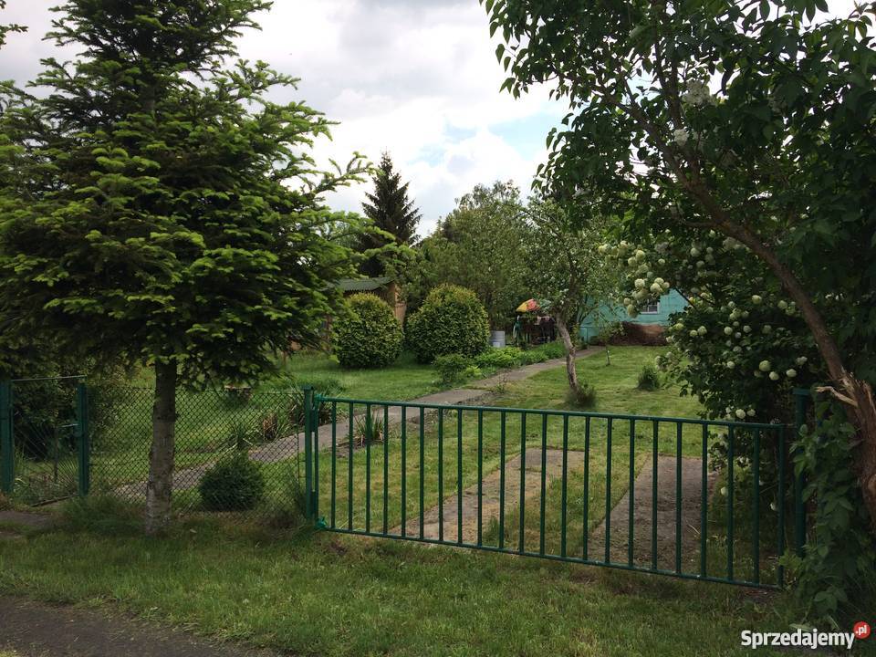 DZIAŁKA ROD TRANSPORTOWIEC JEZIORA RUDNICKIEGO Grudziądz sprzedam