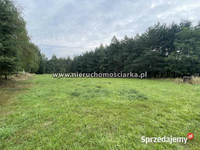 Grunt Wodzisław Śląski 3252m2