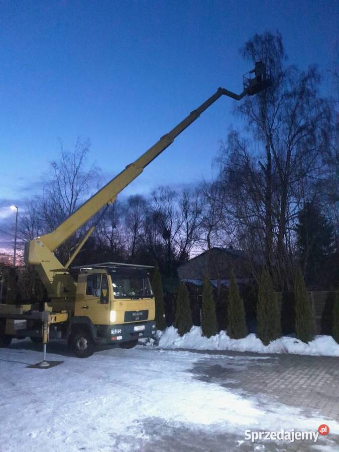 Wycinka drzew Pozostałe usługi