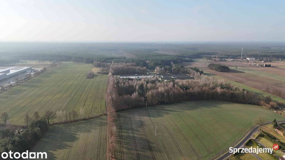 Sprzedam działkę budowlaną bez pośredników Bolewicko sprzedam