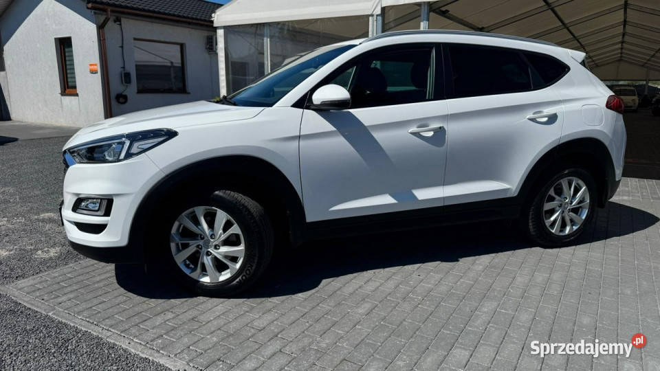 Hyundai Tucson Hyundai Tucson Lift III 20152020 biały Zduńska Wola