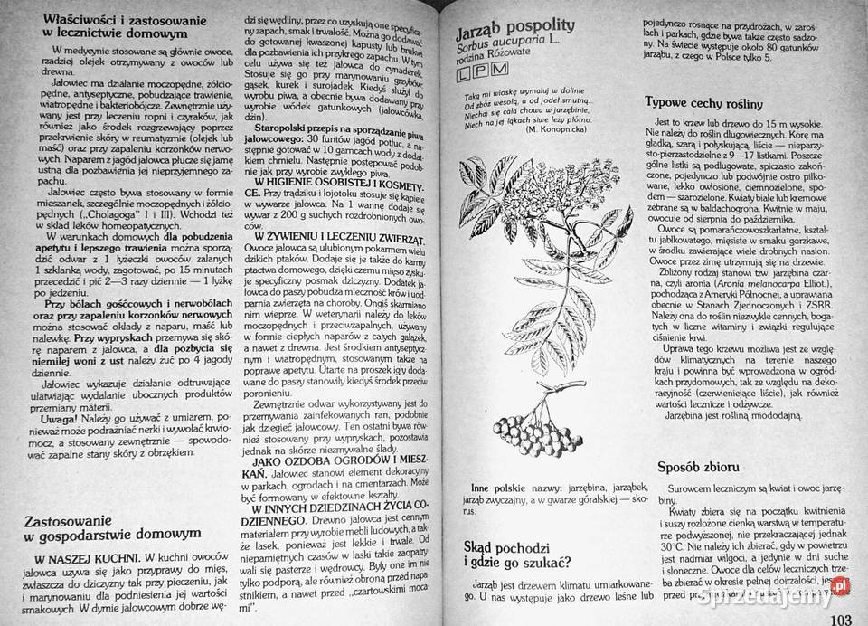 Zioła w polskim domu Danuta TyszyńskaKownacka Pozostałe lubelskie Chełm sprzedam