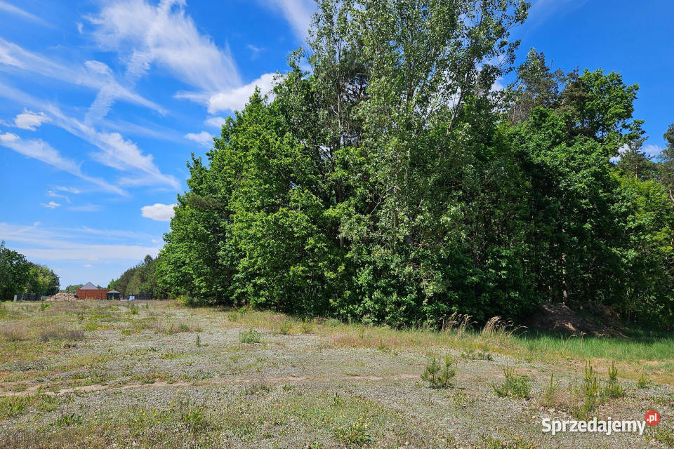 Działka budowlana 2630m2 z lasem 27m Nieruchomości łódzkie