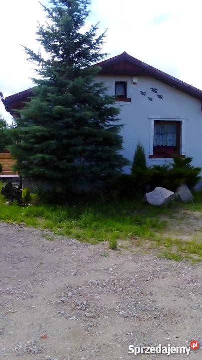 Domowy hotel psów małe rasy bez klatek pomorskie Luzino usługi dla zwierząt