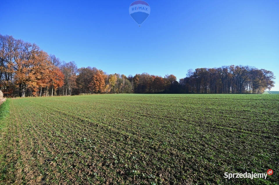 Działka rolna Witkowice Osiek