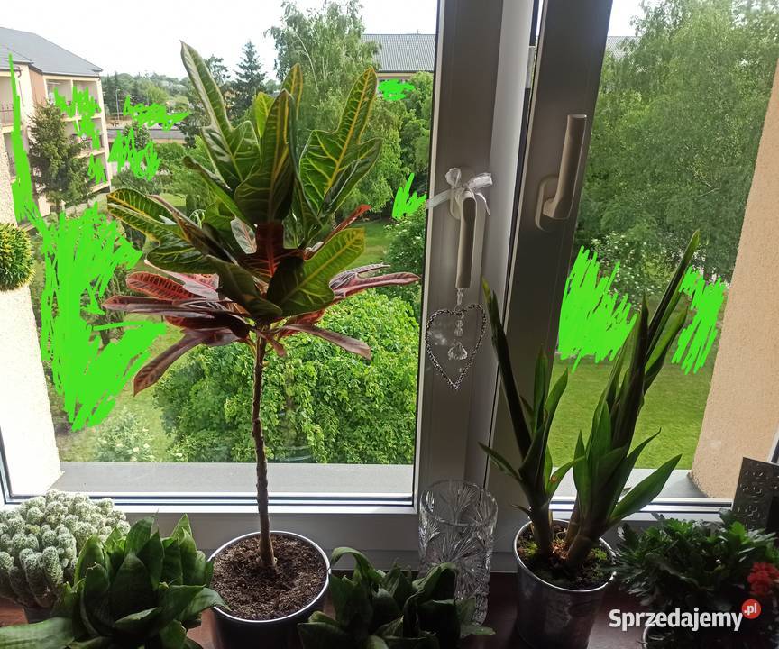 Nowa ozdoba do pokoju dziecięcego młodzieżowego Radzyń Podlaski sprzedam