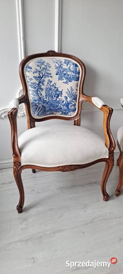 Stylowy fotel scenki rodzajowe Ludwik zachodniopomorskie Szczecin