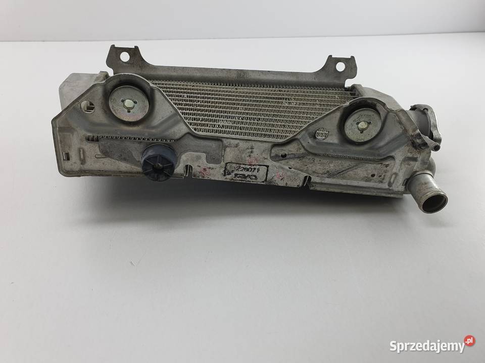 Chlodnica Prawa Korek Suzuki Rmz 450 1823 Łódź