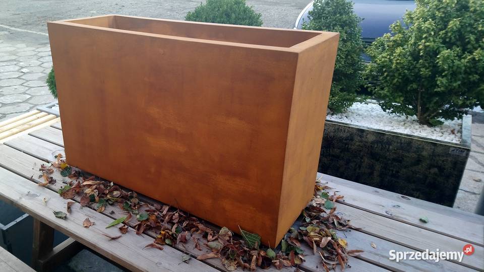 DONICE MROZOODPORNE Łosiów