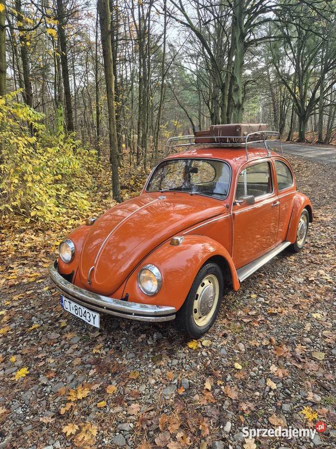 Volkswagen Garbus Rok produkcji 1969 Toruń
