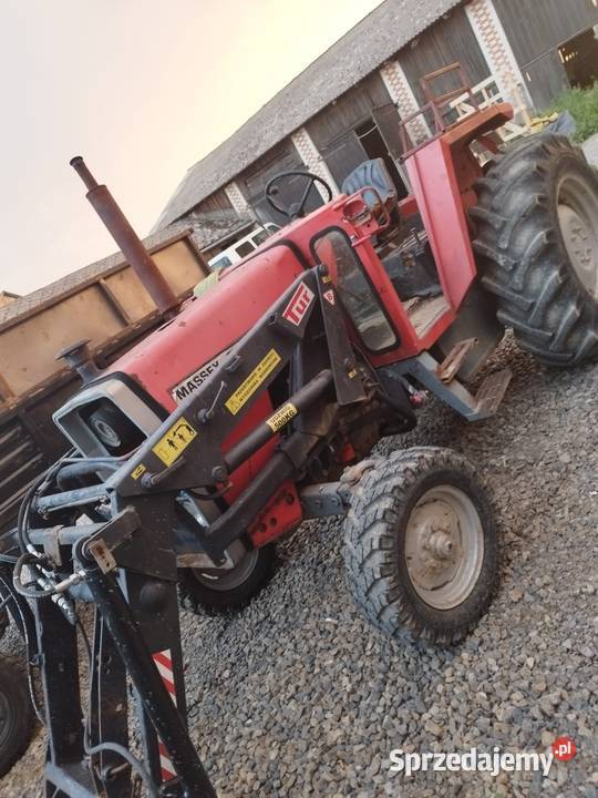 MF 675 Orchowiec