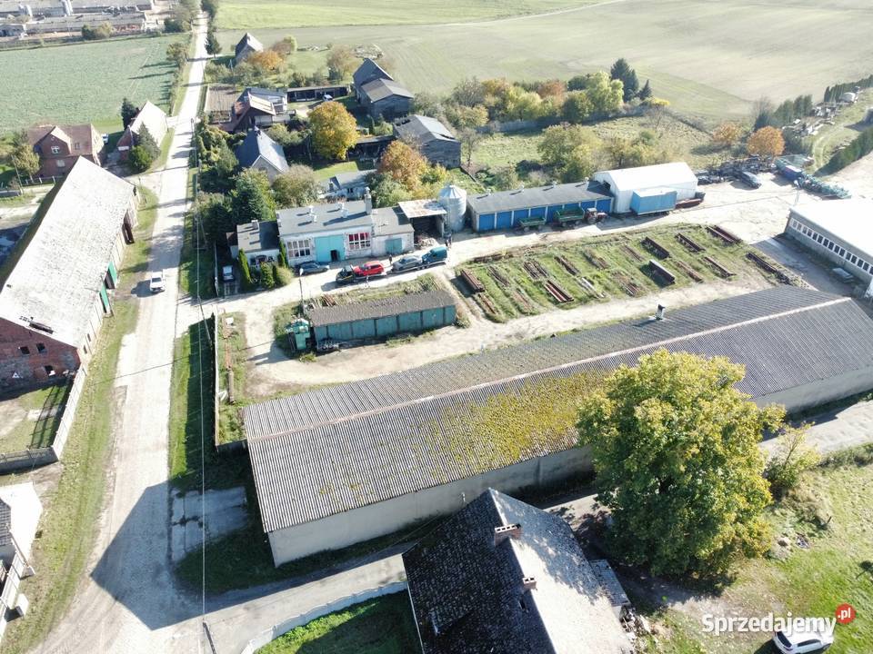 Syndyk sprzeda zakład produkcyjny wyposażeniem w Biznes i Przemysł Panowice