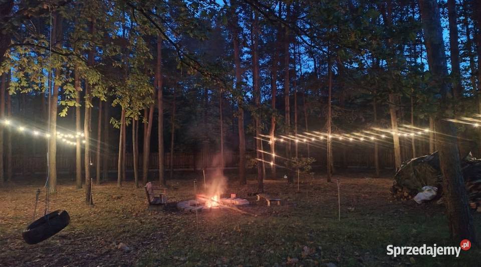 Wolny domek w lesie w weekend Wieliszew pod mazowieckie