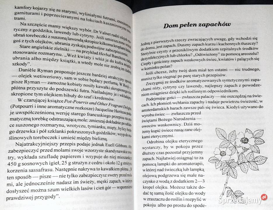 Zielona czarownica Zielnik współczesnej kobiety miękka lubelskie Chełm