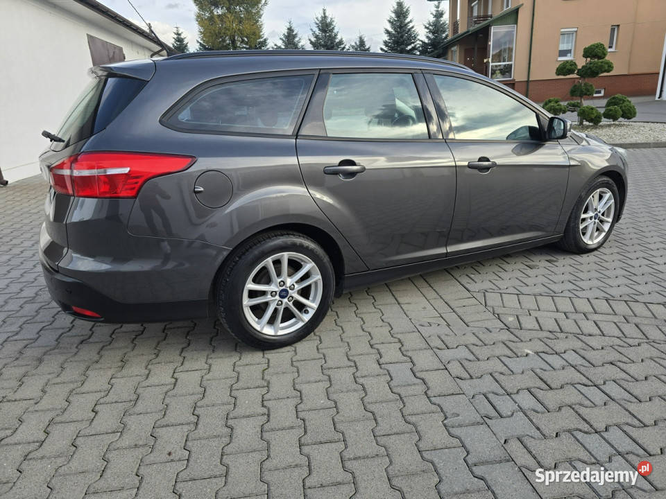 Ford Focus 15dci DUDKI11 światła przeciwmgielne
