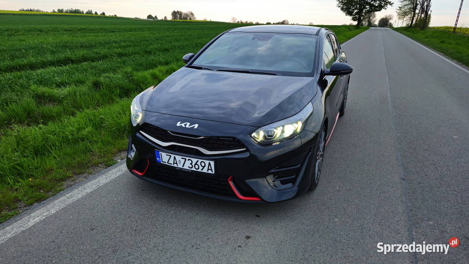 Kia PRoceed GT 16 204 konie Zawada