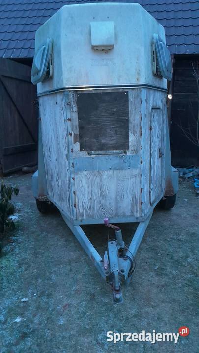 przyczepka do przewozu koni brenderup 2 osie Lubiatów