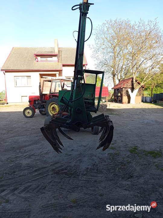 Cyklop w stanie Blizienko