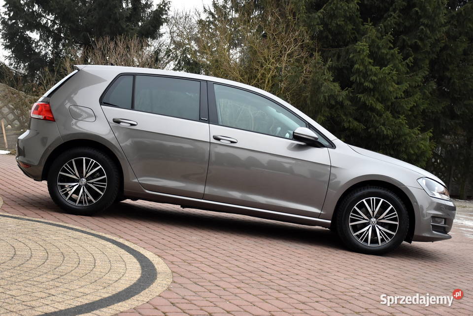 Volkswagen Golf VII ALLSTAR 16TDI 110 99240 Zduńska Wola