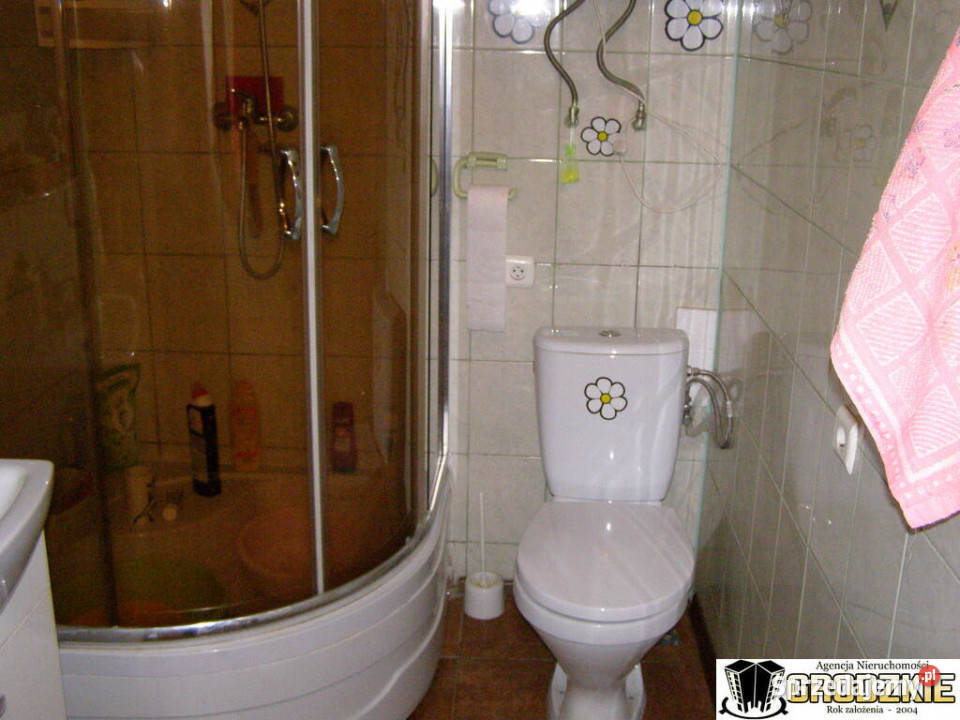 Niewielki emeryta rodziny Makowa