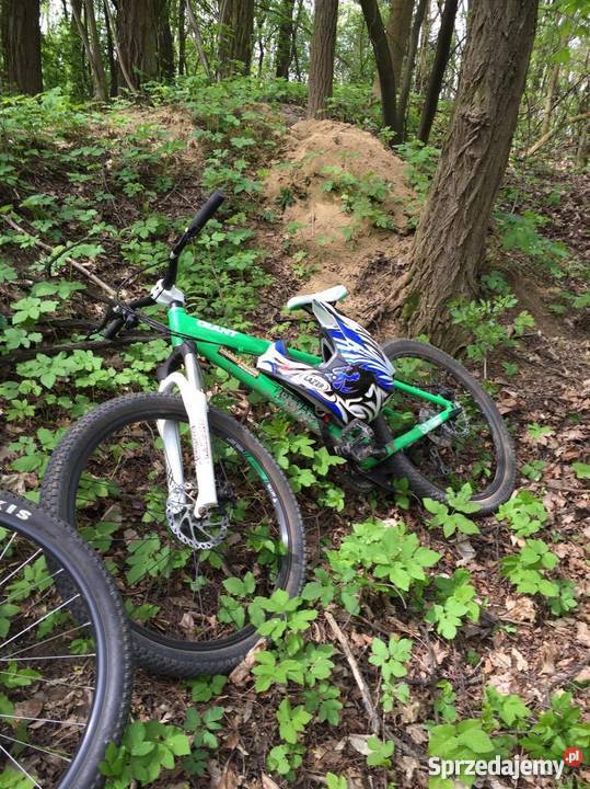 GIANT BRASS MTB ideał okazja Kazimierza Wielka