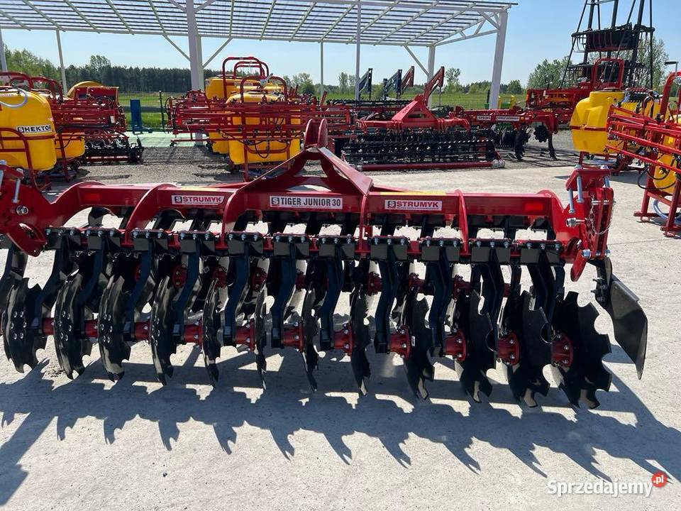 BRONA TALERZOWA STRUMYK TIGER JUNIOR 140300 świętokrzyskie Kazimierza Wielka