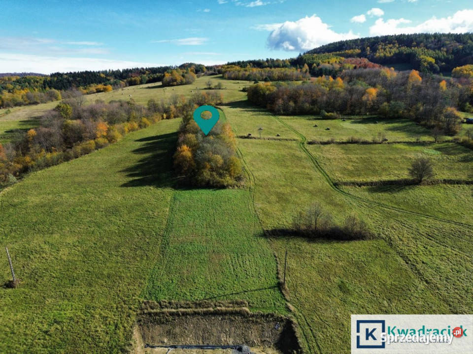Ziemia 2000m2 RymanówZdrój rolna Rymanów-Zdrój