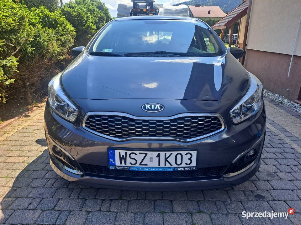 Kia ceed 16GDI 135 Milówka