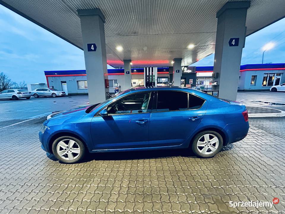Ladna Skoda Octavia Inowrocław