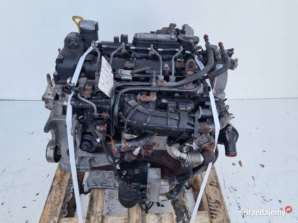 SILNIK KOMPLET Hyundai Santa Fe II 22 CRDI 197 Silniki kompletne Rudka