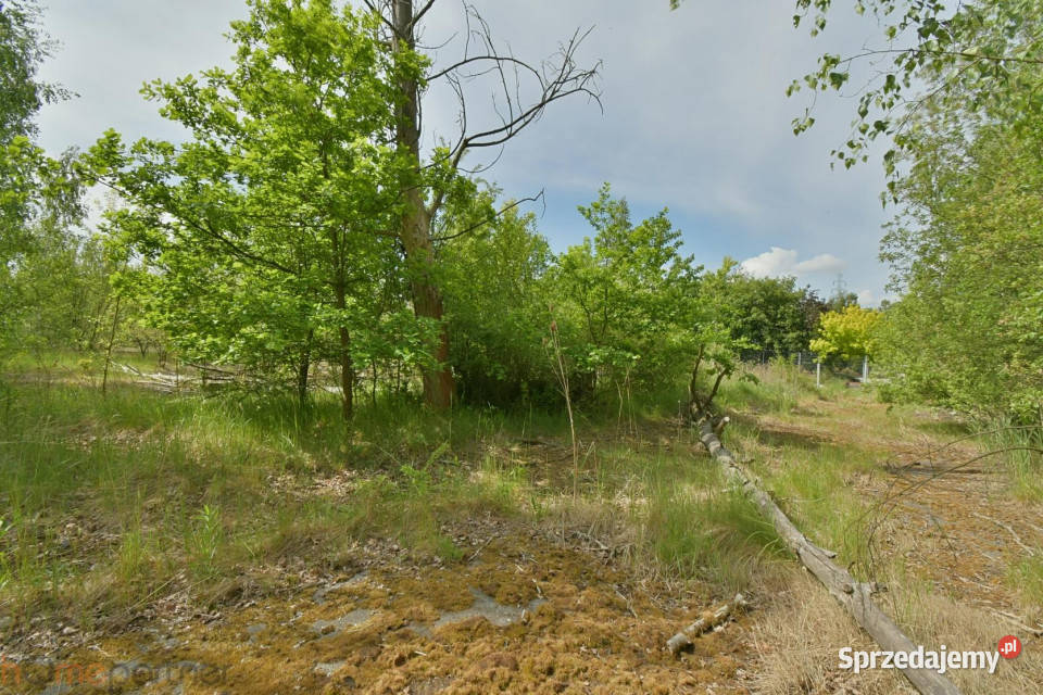 Działka Wałbrzych Ludowa 14508m2 Grunty i działki