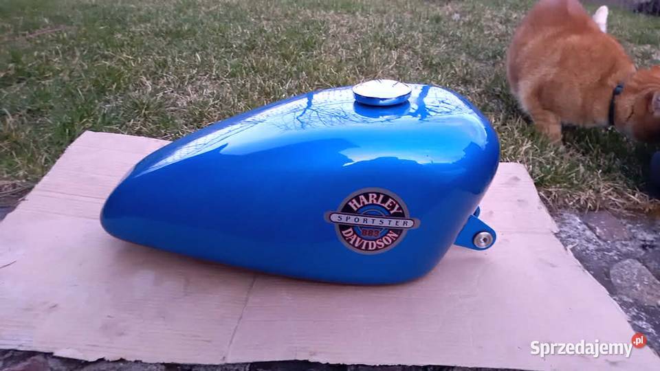 HarleyDavidson XL883 zamiana Mosty