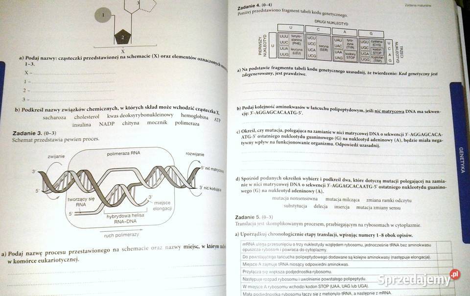 Teraz matura Biologia Zadania i arkusze Rok wydania 2016 Chełm