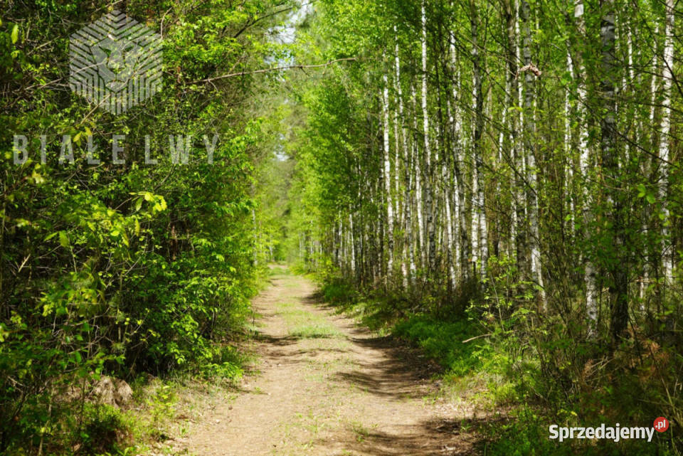 Grunt Nowe Borsuki 1200m2