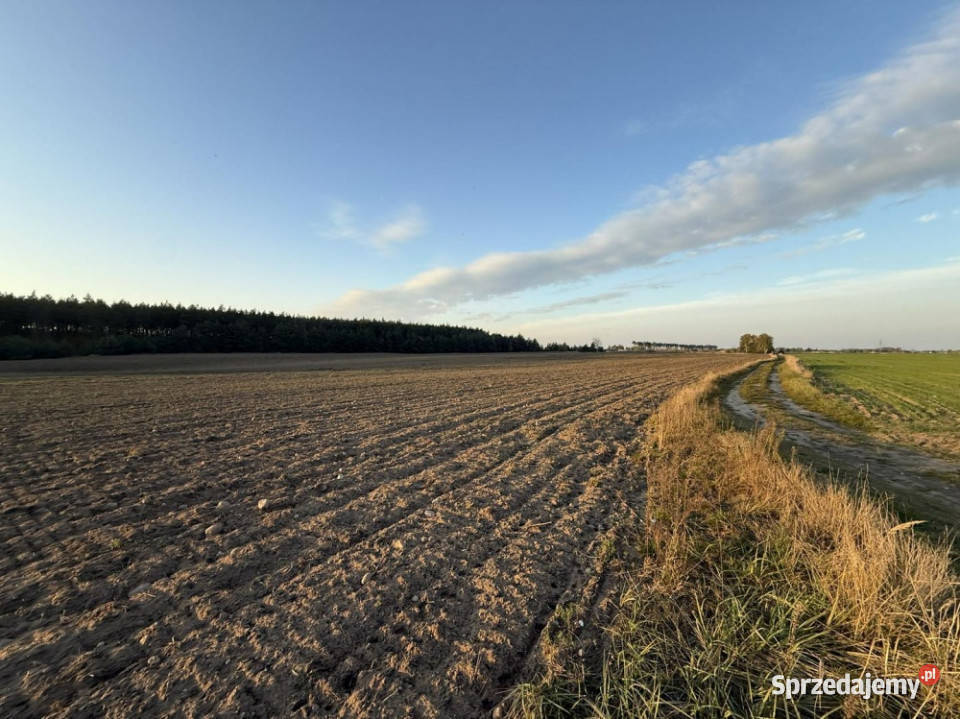 SPRZEDAŻY DŁUGOTERMINOWEJ DZIERŻAWY ŻWIROWNI Kochowo