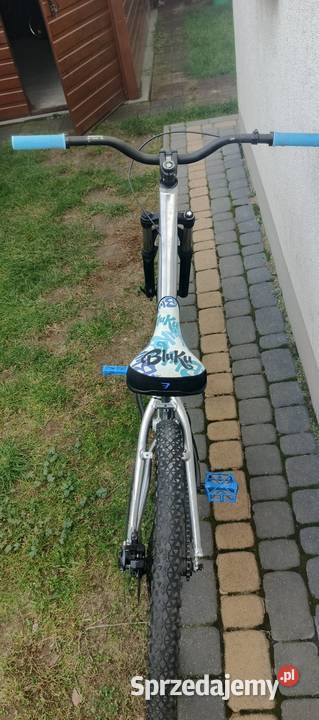 Rower Giant dirt Sobolew