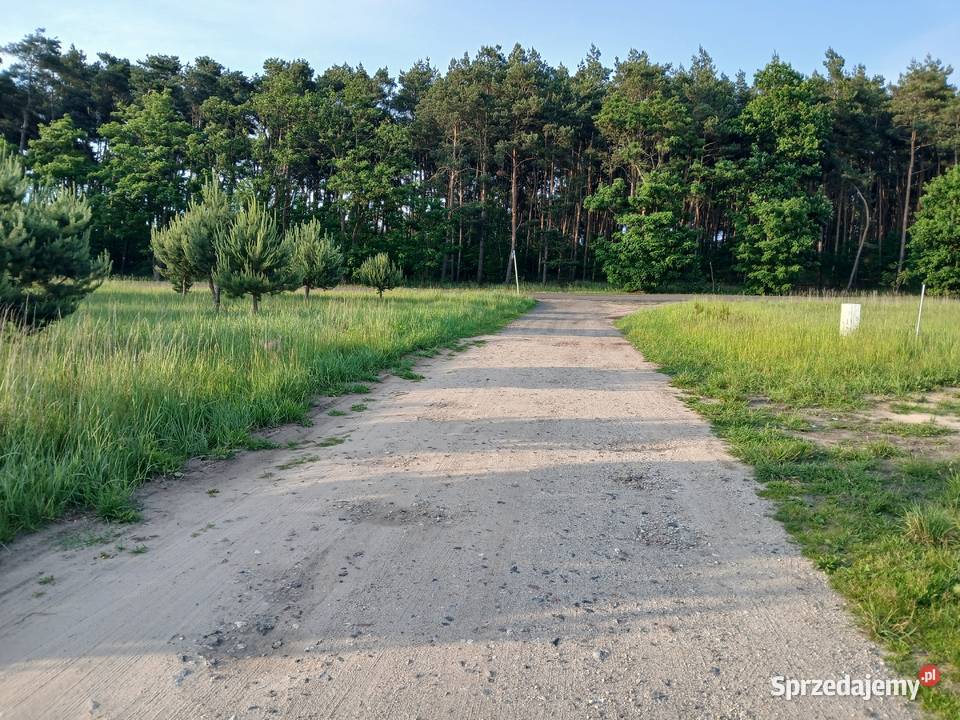 Sprzedam działkę z MPZP w Drużynie Poznańskiej