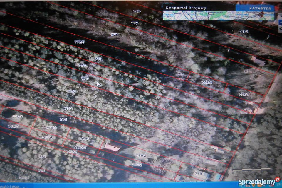 Dwie działki dom na wsi Bógdał w gminie Szczekoc woda Nieruchomości śląskie Bógdał